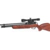 GAMO COYOTE PCP