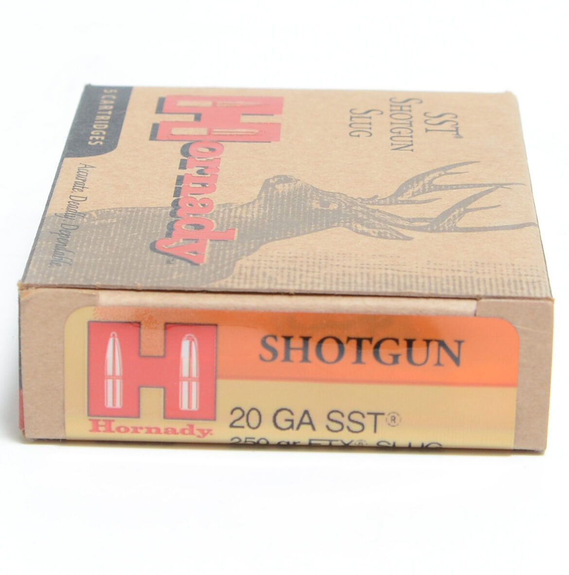 Hornady 20 Ga Slug 250 Grain FTX (Flex Tip) Ammunition (5 Rounds)