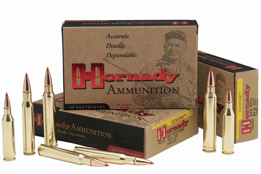 Hornady-300-Blackout-135-gr-FTX-Custom.jpeg