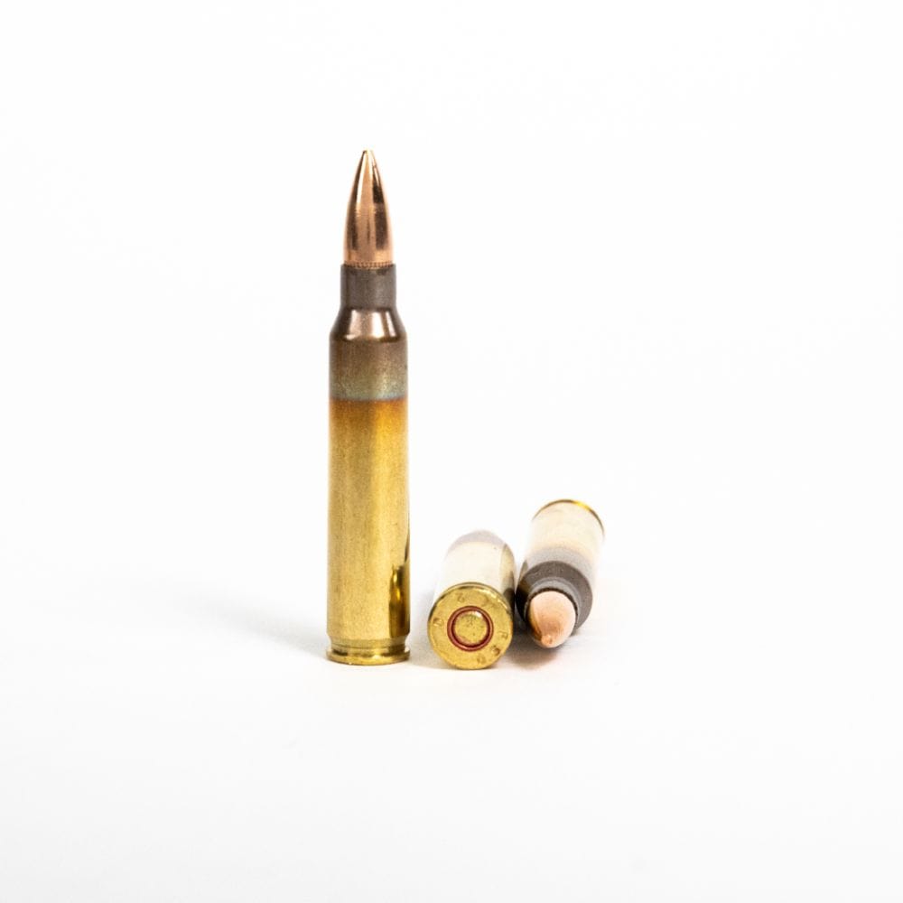PMC-5.56X-5.56x45mm-55-Grain-FMJ-Rounds.jpg